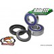 Kit roulements + joints de roues ALL BALLS KTM 125-144-150-250-300 SX 