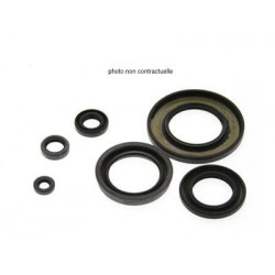 Pochette joints spi bas moteur CENTAURO GAS-GAS 250/300 EC-F 2001-2014