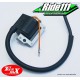 Bobine d'allumage TOURMAX  HONDA XL 600 V TRANSALP 1987-1999