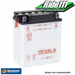 Batterie TECNIUM  YAMAHA XTZ 600 TENERE 