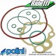 Pièces détachées pour Haut Moteur POLINI Fonte BETA 50 RR Minarelli AM6
