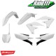 Kit plastiques RACETECH YAMAHA 450 YZF   