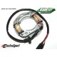 Stator avec bobine éclairage ElectroSport KAWASAKI 250 KX-F 2004-2010