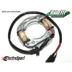 Stator avec bobine éclairage ElectroSport KAWASAKI 250 KX-F 2004-2010