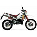 TS 125 R