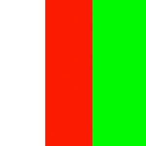 Blanc / Rouge / Vert fluo